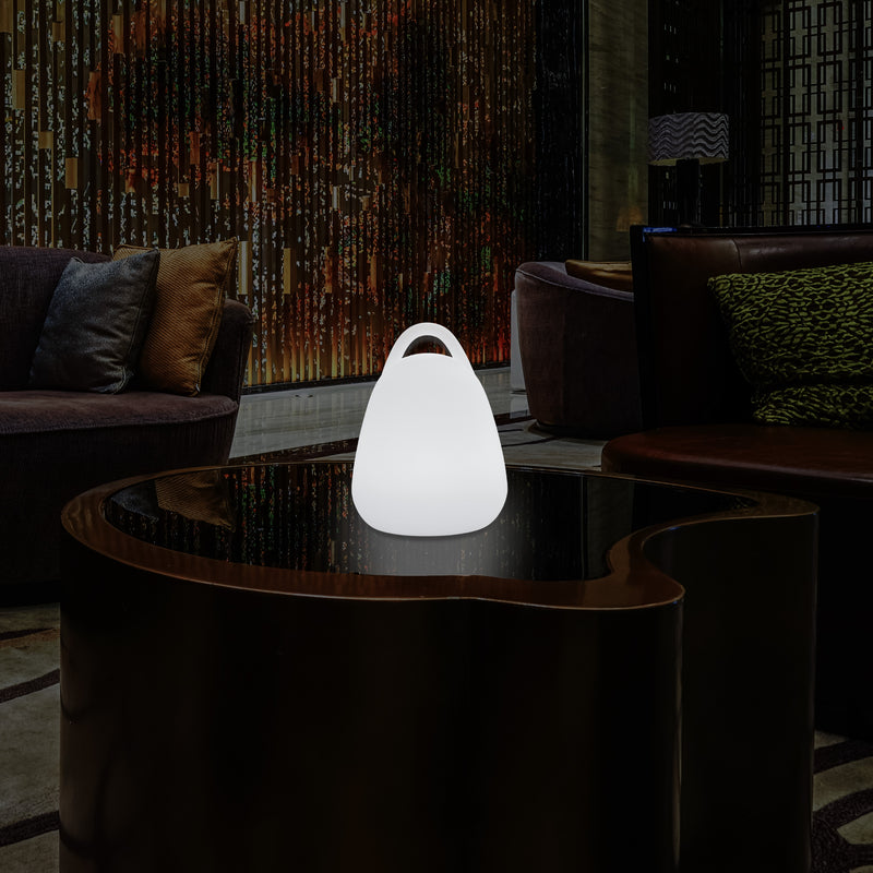 Lanterne LED, Lampe de table décorative pour salon avec ampoule E27 blanche, 23 cm