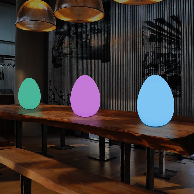 Lampe de table LED RVB multicolore graduable Lumière d'ambiance 37cm sur secteur avec télécommande