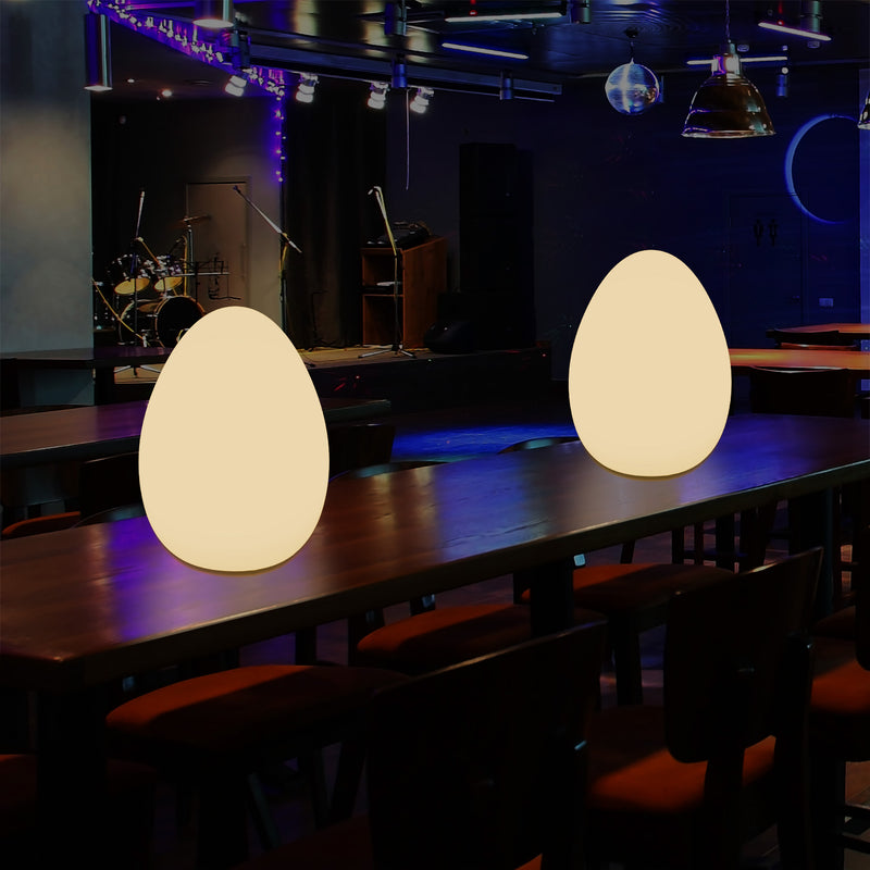 Lampe de table à LED pour chambre à coucher avec ampoule E27 blanc chaud Lampe moderne Oeuf de 37 cm