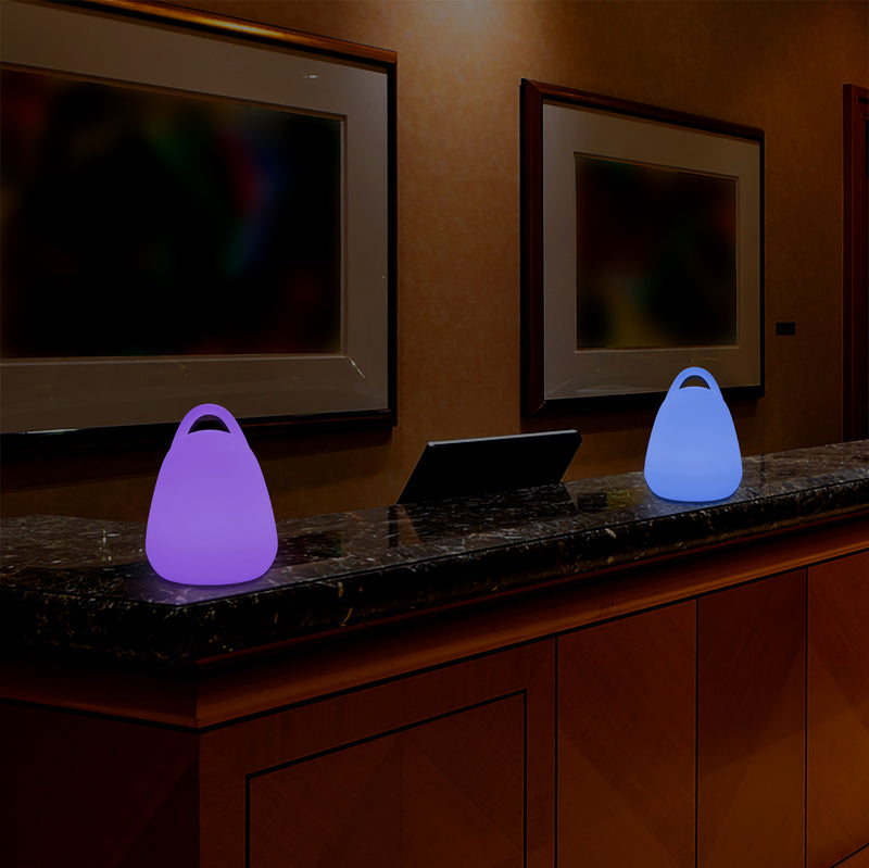 Lanterne de table LED intensité variable changement de couleur éclairage d'ambiance RGB télécommande