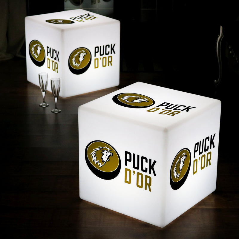 Grand Affichage promotionel LED Cube Tabouret Siège 60 cm rétroéclairé Objet lumineux Publicité