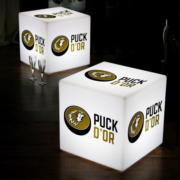 Objet lumineux promotionel affichage d'enseigne avec rétroéclairage logo d'entreprise Pub Cube 20 cm