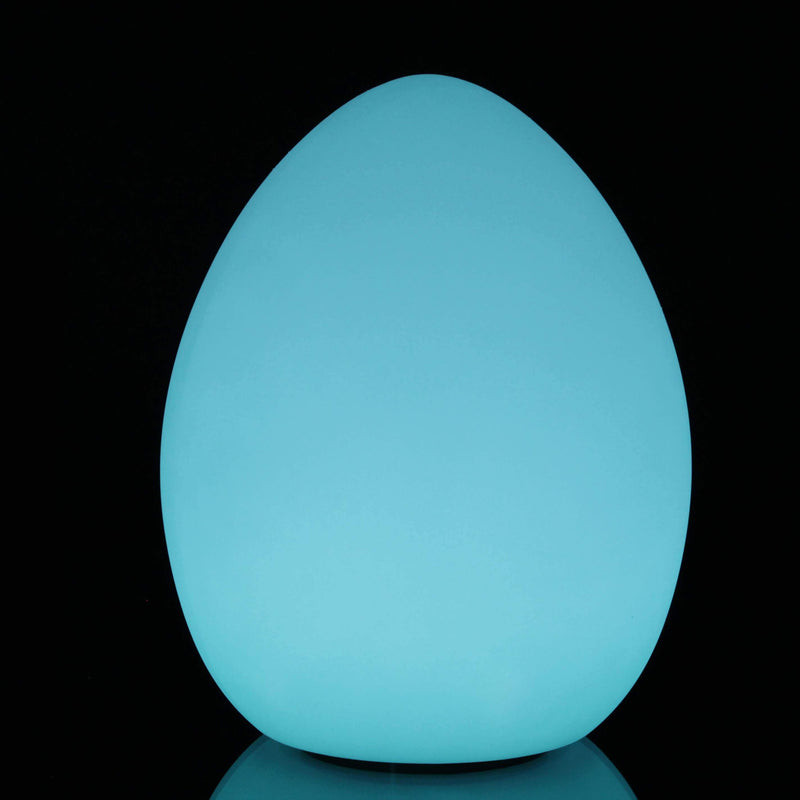 Lampe de Table LED Rechargeable avec Télécommande, Extérieur, 32cm