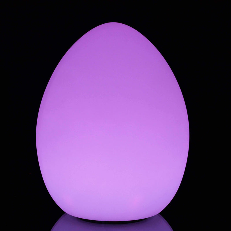 Lampe de Table LED Rechargeable avec Télécommande, Extérieur, 32cm